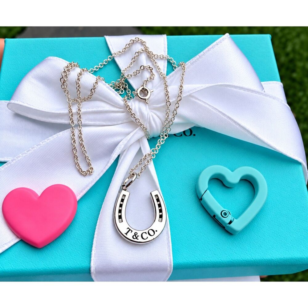 Tiffany & Co. Horseshoe Necklace in Silver, 20" THICK Chain